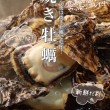 広島の瀬戸内海採れたての新鮮な大粒焼牡蠣販売開始です‼️