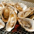 北海道釧路昆布森直送❣️新鮮クリーミーの生牡蠣入荷❣️